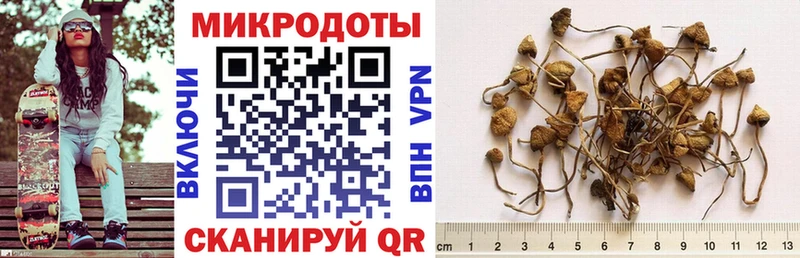 гидра рабочий сайт  закладки  Кисловодск  Галлюциногенные грибы Cubensis 